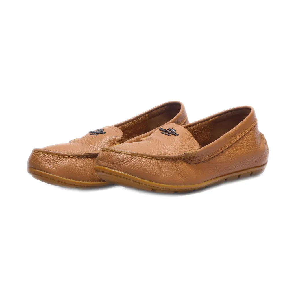 Coach Mary Lock Up Loafers Leather Brown Colour For Women